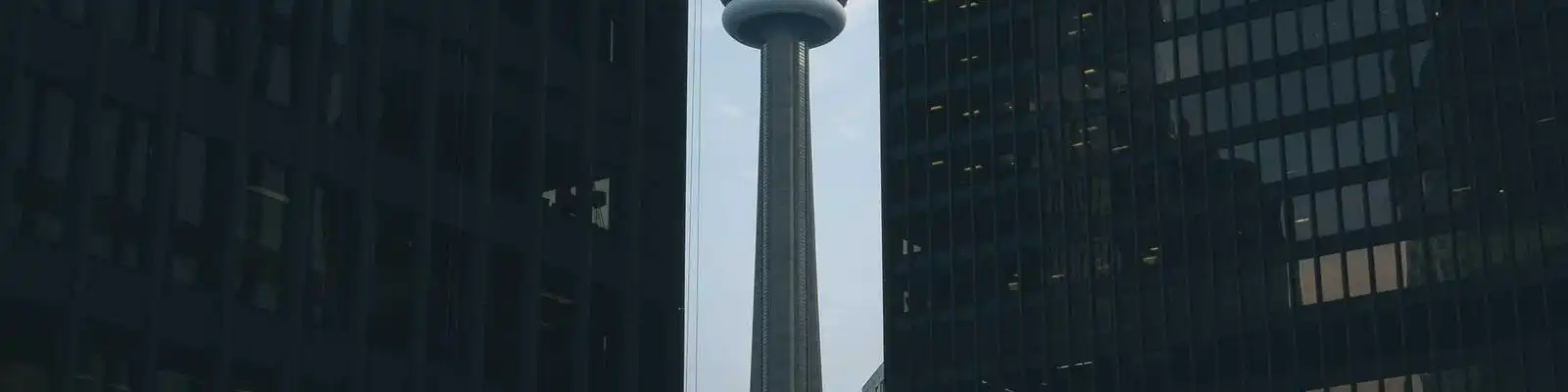 娱乐快讯
