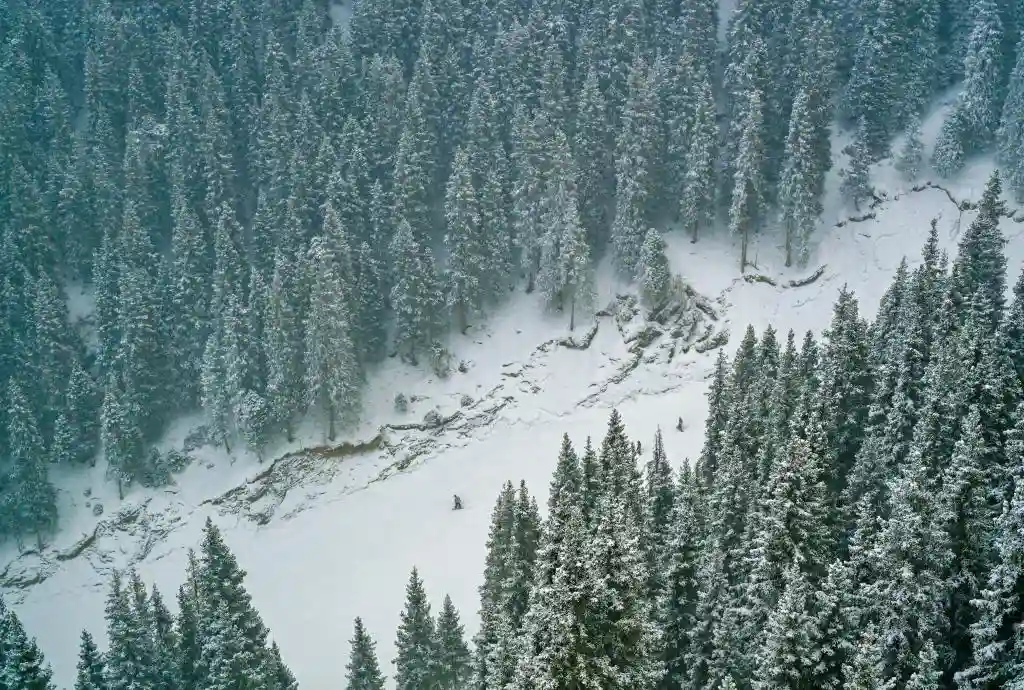 追光|户外狂潮!超4亿中国人涌入自然,他们到底在追逐什么?