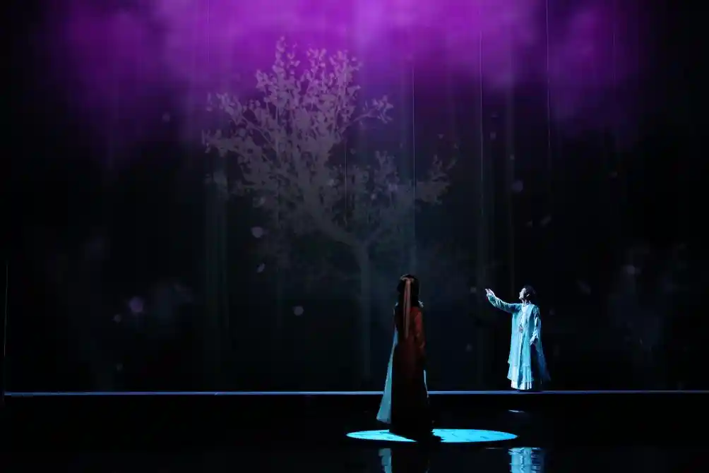 《三生三世牡丹亭：一场生命的觉醒之旅》