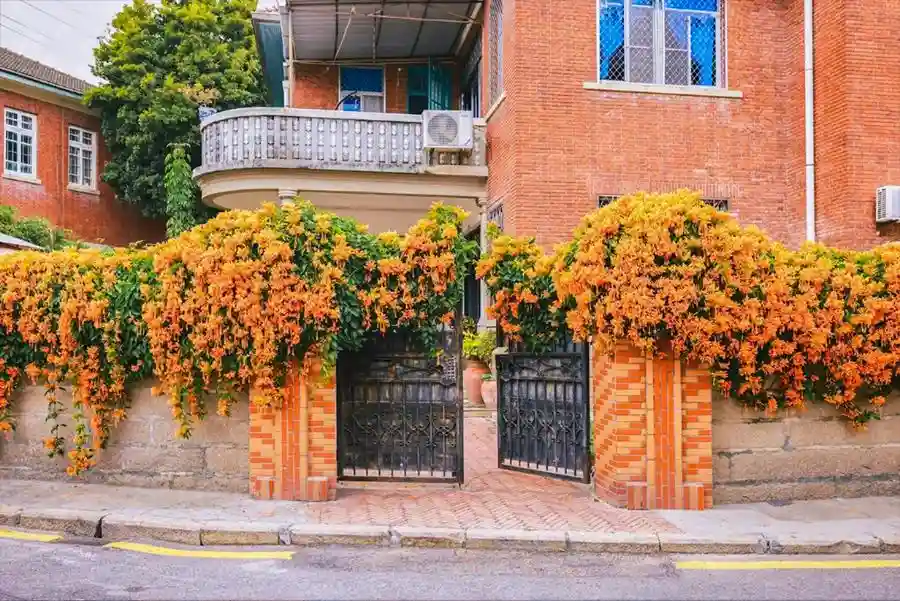 厦门剧好玩!打卡影视剧同款网红地标,一秒入戏城市浪漫