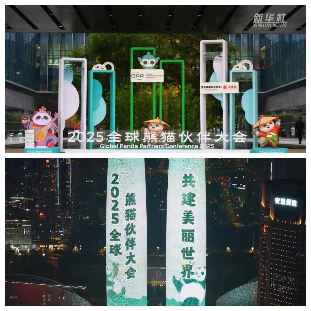 熊猫伙伴牵手成都，共绘全球生态新蓝图