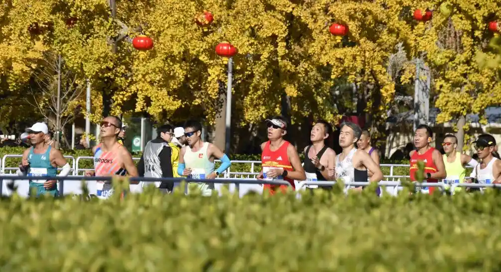 千年文脉跃动在42.195公里的奔跑中