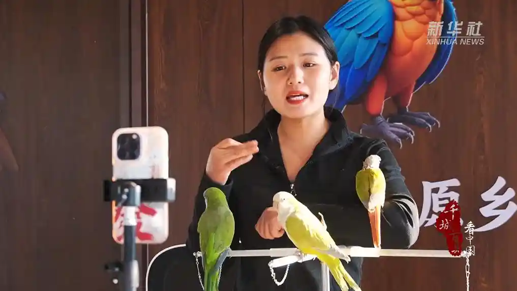 金翅振翼起新潮——山东临沂特色产业激活乡村振兴新动能