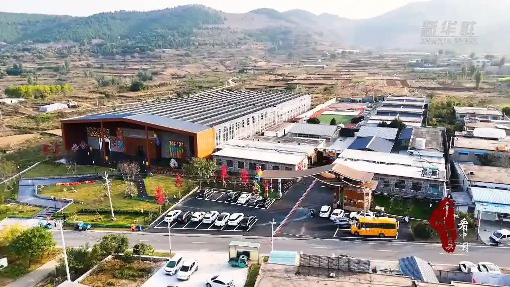 金翅振翼起新潮——山东临沂特色产业激活乡村振兴新动能