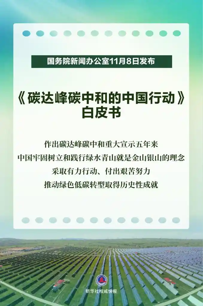 双碳中国行动白皮书发布，引领绿色未来新风向