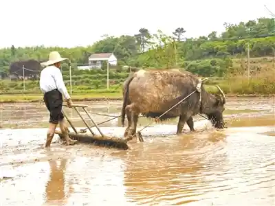 五年踏遍1100村镇：一位摄影师的中国乡土影像长征