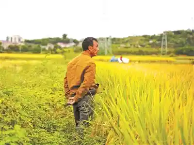 五年踏遍1100村镇：一位摄影师的中国乡土影像长征