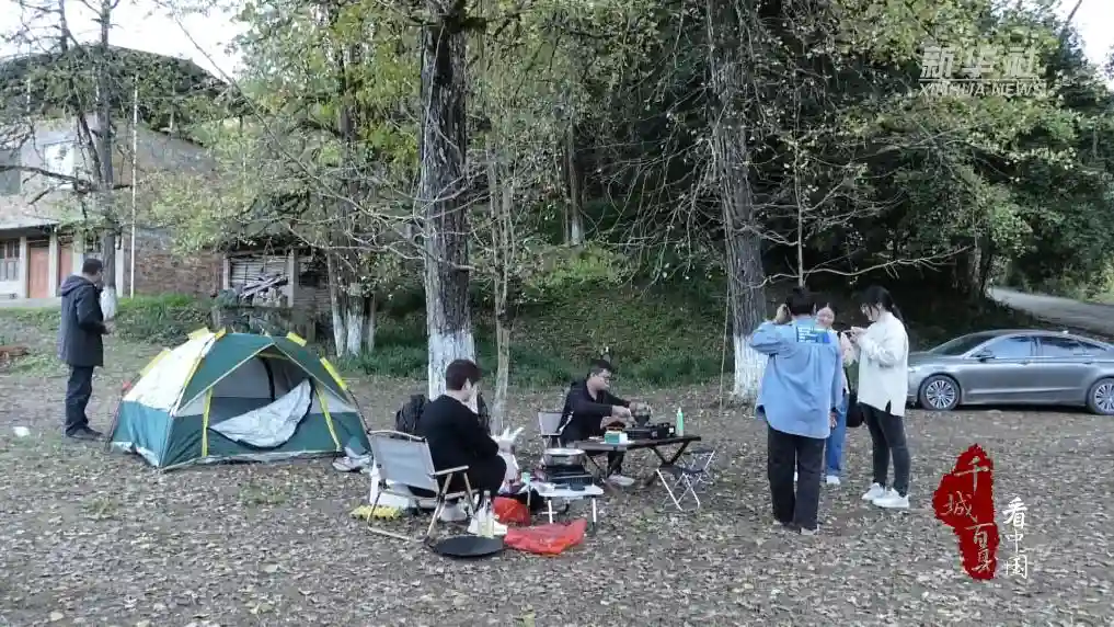 金秋银你而来|福建尤溪银杏染秋色