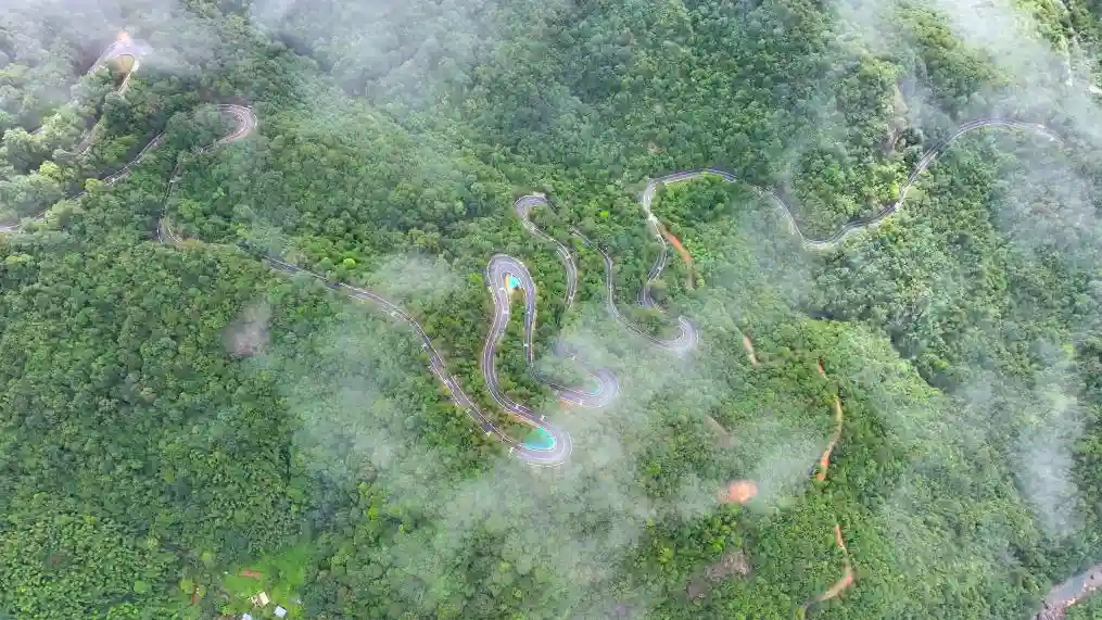 岭南春色里，惠州寻自信——解码一座城市的文脉密码