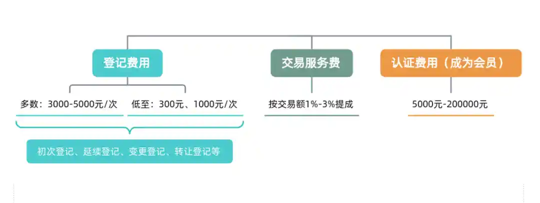 价格迷雾下，市场行情谁主沉浮？