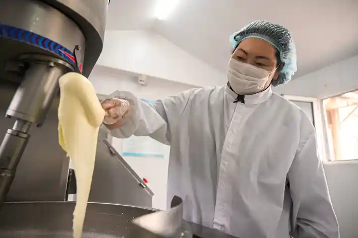 草原新韵：文化赋能下的内蒙古致富新篇章