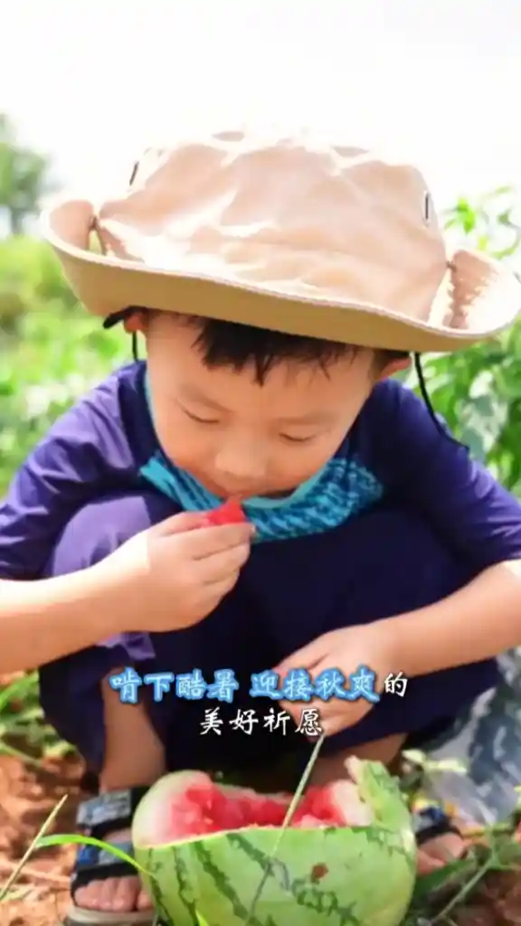 秋意启幕：云收夏色，叶动新声