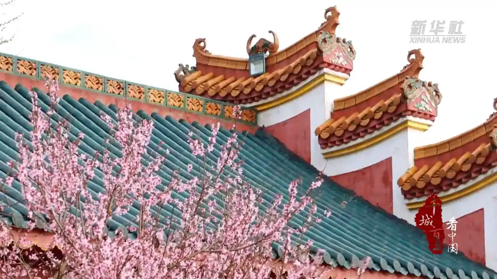 桃红映墙，双清春色醉人心