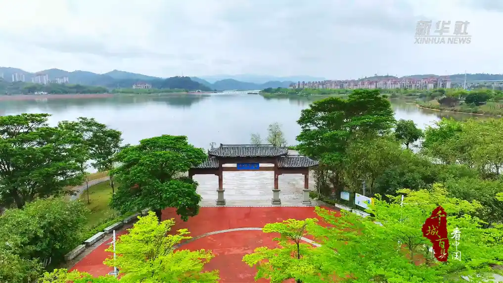水韵梧州：千城百县探秘岭南水都的民生蝶变