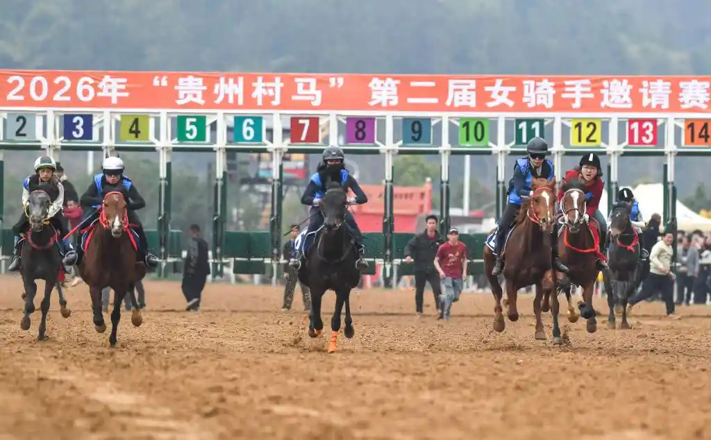 村字号爆红背后：解码贵州文化出圈新密码